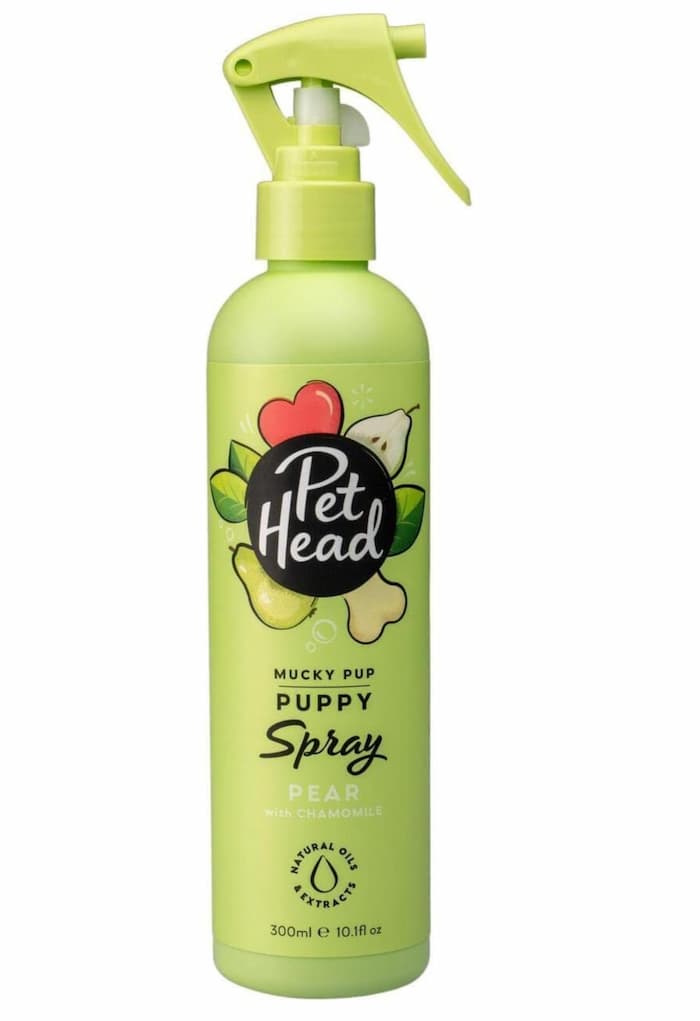 dog shampoo 